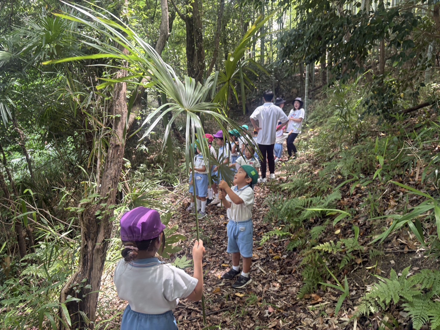 みどりいっぱいぼうけんDay